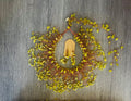 Jade Coral Chip Statement Necklace & Earring Set